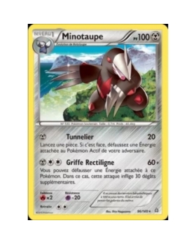 MINOTAUPE PV100 96/160