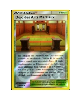 DOJO DES ARTS MARTIAUX REVERSE 179/214
