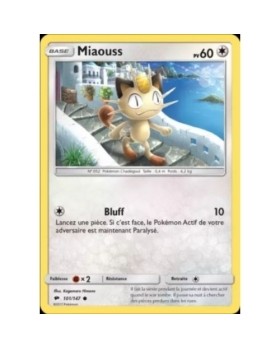 MIAOUSS PV60 101/147