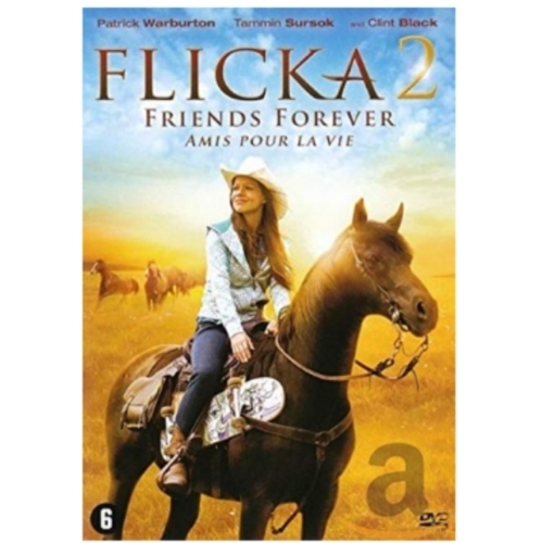 FLICKA 2 AMIS POUR LA VIE DVD