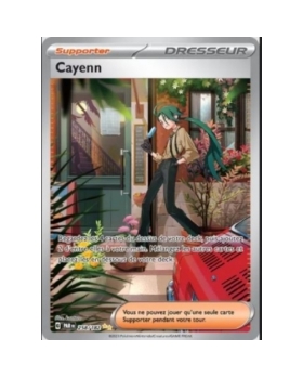 SUPPORTER : DRESSEUR CAYENN 258/182 