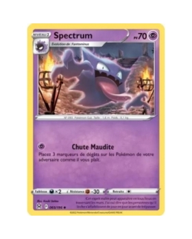 SPECTRUM PV70 065/196