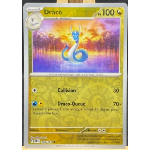 DRACO REVERSE PV100 158/197