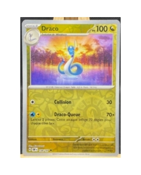 DRACO REVERSE PV100 158/197