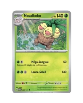 NOADKOKO 160PV 2/131