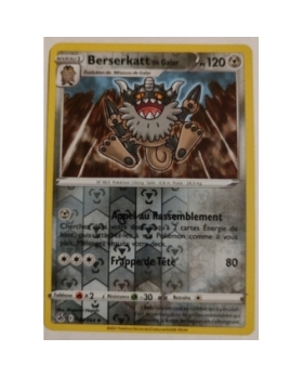 BERSERKATT DE GALAR PV120 REVERSE 181/264
