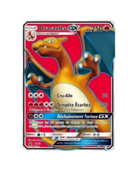 DRACAUFEU GX PV250 SM60