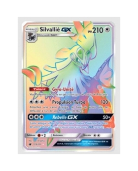 SILVALLIE GX PV210 119/111