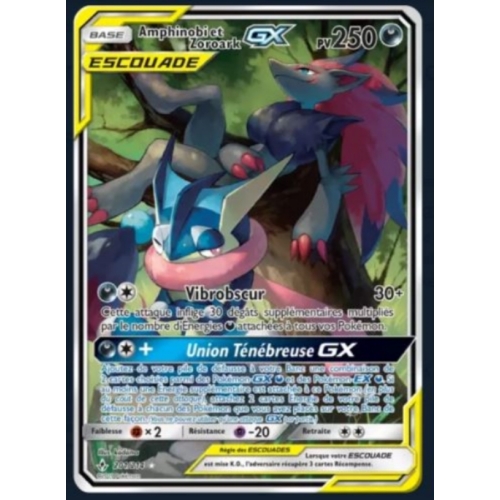 Amphinobi et Zoroark Escouade GX PV250 201/214