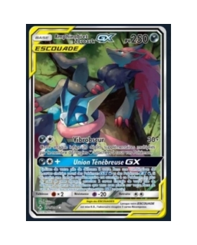 Amphinobi et Zoroark Escouade GX PV250 201/214