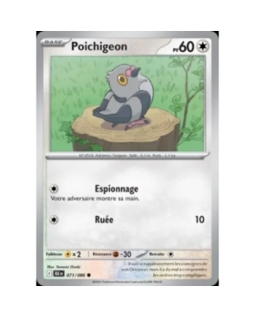 POICHIGEON 60PV 071/086