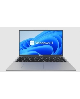 PC DANEW DBOOK 175 SILVER 17.3" RAM:8GO CPU:INTEL CELERON N4020(2X1.10GHZ)DD:512GOSSD W11