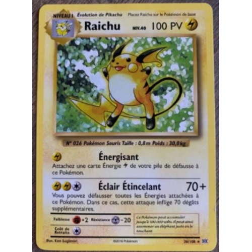 RAICHU PV100 36/108