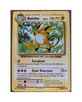 RAICHU PV100 36/108