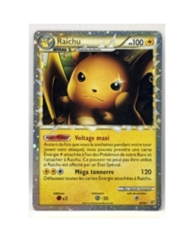 RAICHU PV100 83/90