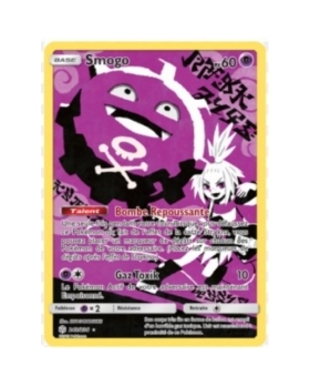 SMOGO PV60 243/236