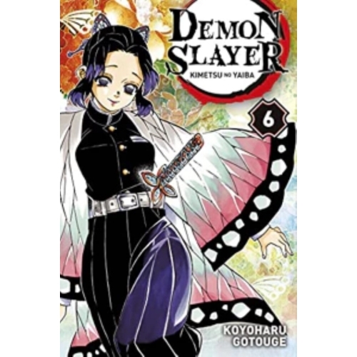 Demon Slayer - Tome 06 