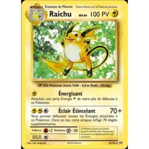 RAICHU niv.40 PV100 36/108