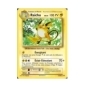 RAICHU niv.40 PV100 36/108