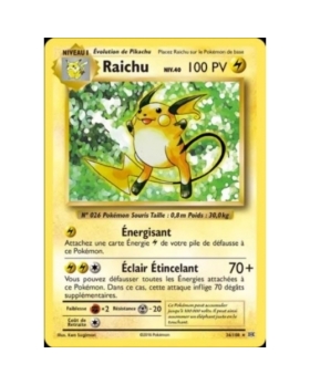 RAICHU niv.40 PV100 36/108