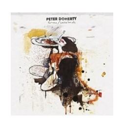 Grace/Wastelands PETER DOHERTY CD 