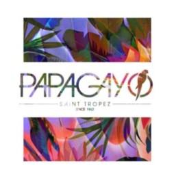 Papagayo crazy club Saint Tropez summer 2014 - Digipack COMPILATION DANCE CD 
