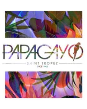 Papagayo crazy club Saint Tropez summer 2014 - Digipack COMPILATION DANCE CD 