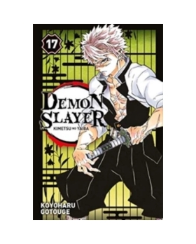 Demon Slayer - Tome 17