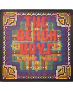 THE BEACH BOYS LOVE YOU VINYLE 33T