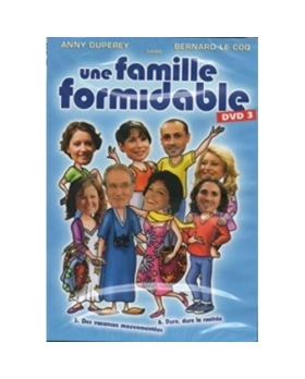 UNE FAMILLE FORMIDABLE DVD 3