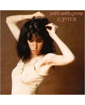 PATTI SMITH GROUP VINYLE 33T