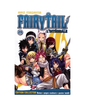 Fairy Tail (Grand Format) NUMERO 29