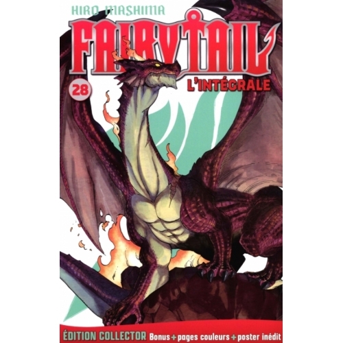 Fairy Tail (Grand Format) NUMERO 28