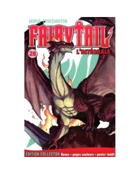 Fairy Tail (Grand Format) NUMERO 28
