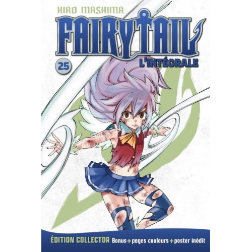 Fairy Tail (Grand Format) NUMERO 25