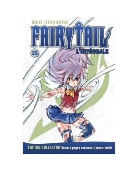 Fairy Tail (Grand Format) NUMERO 25