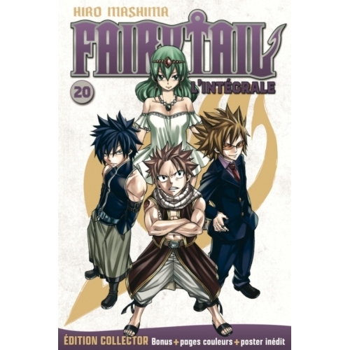 Fairy Tail (Grand Format) NUMERO 20