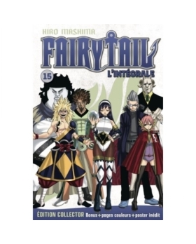 Fairy Tail (Grand Format) NUMERO 15