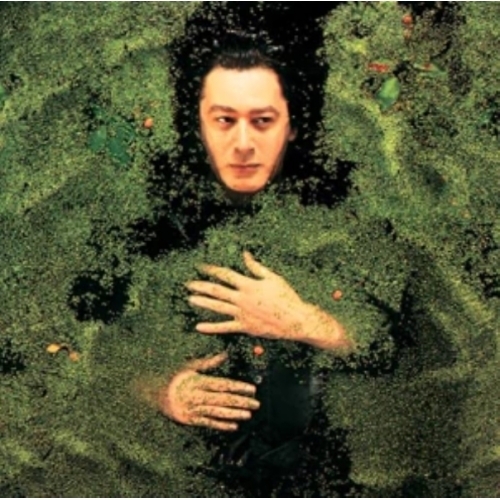 ALAIN BASHUNG Fantaisie Militaire CD