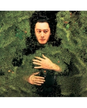 ALAIN BASHUNG Fantaisie Militaire CD