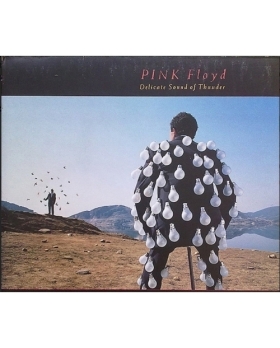 Pink Floyd – Delicate Sound Of Thunder VINYLE 33T 