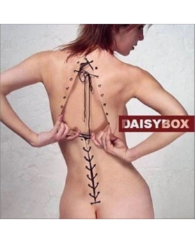 Daisybox,  Diagnostic cd 