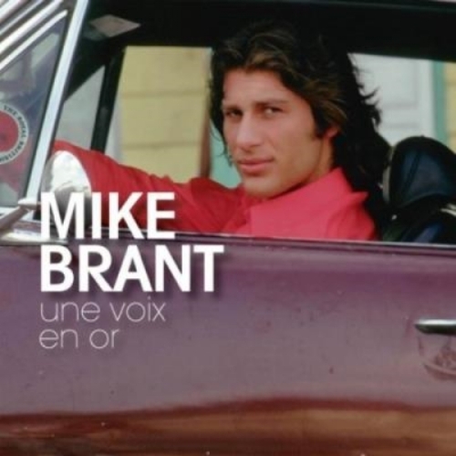 Mike Brant Une Voix en Or cd 